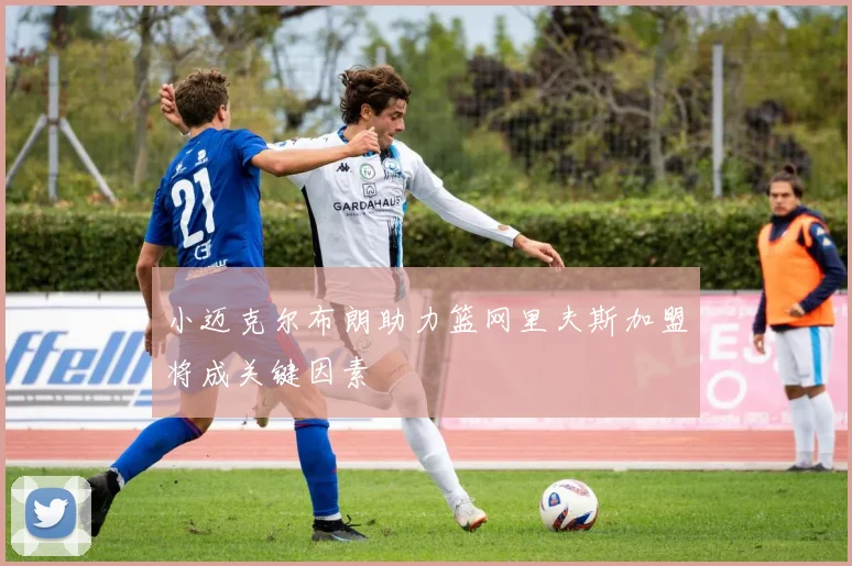 小迈克尔布朗助力篮网里夫斯加盟将成关键因素