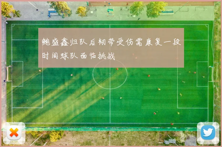 鲍盛鑫归队后韧带受伤需康复一段时间球队面临挑战