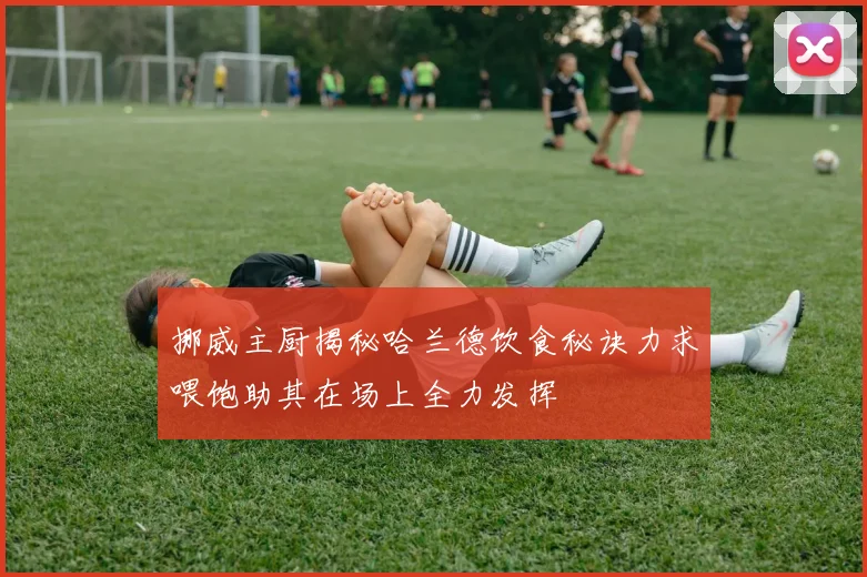 挪威主厨揭秘哈兰德饮食秘诀力求喂饱助其在场上全力发挥